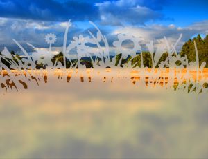 Kwitnąca Łąka - folia na okno o efekcie mrożonego szkła