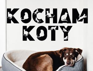 Kocham Koty - Naklejka na ścianę