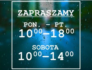 Naklejka na Drzwi z Godzinami Otwarcia dla Firm - Styl Vintage