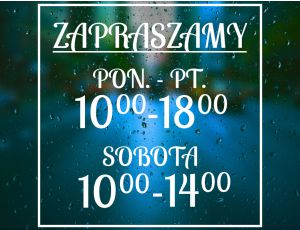 Naklejka na Witrynę - Godziny Otwarcia  - Kaligraficzny Styl