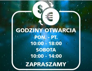 Naklejka na Drzwi z Godzinami Otwarcia dla Kantoru - Dolar i Euro